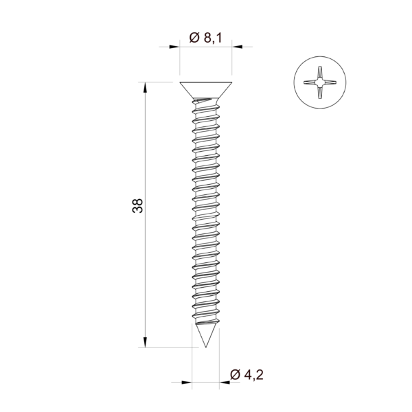 Vis en inox 4,2x38 mm&nbsp;&nbsp;